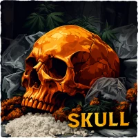 Skull Market